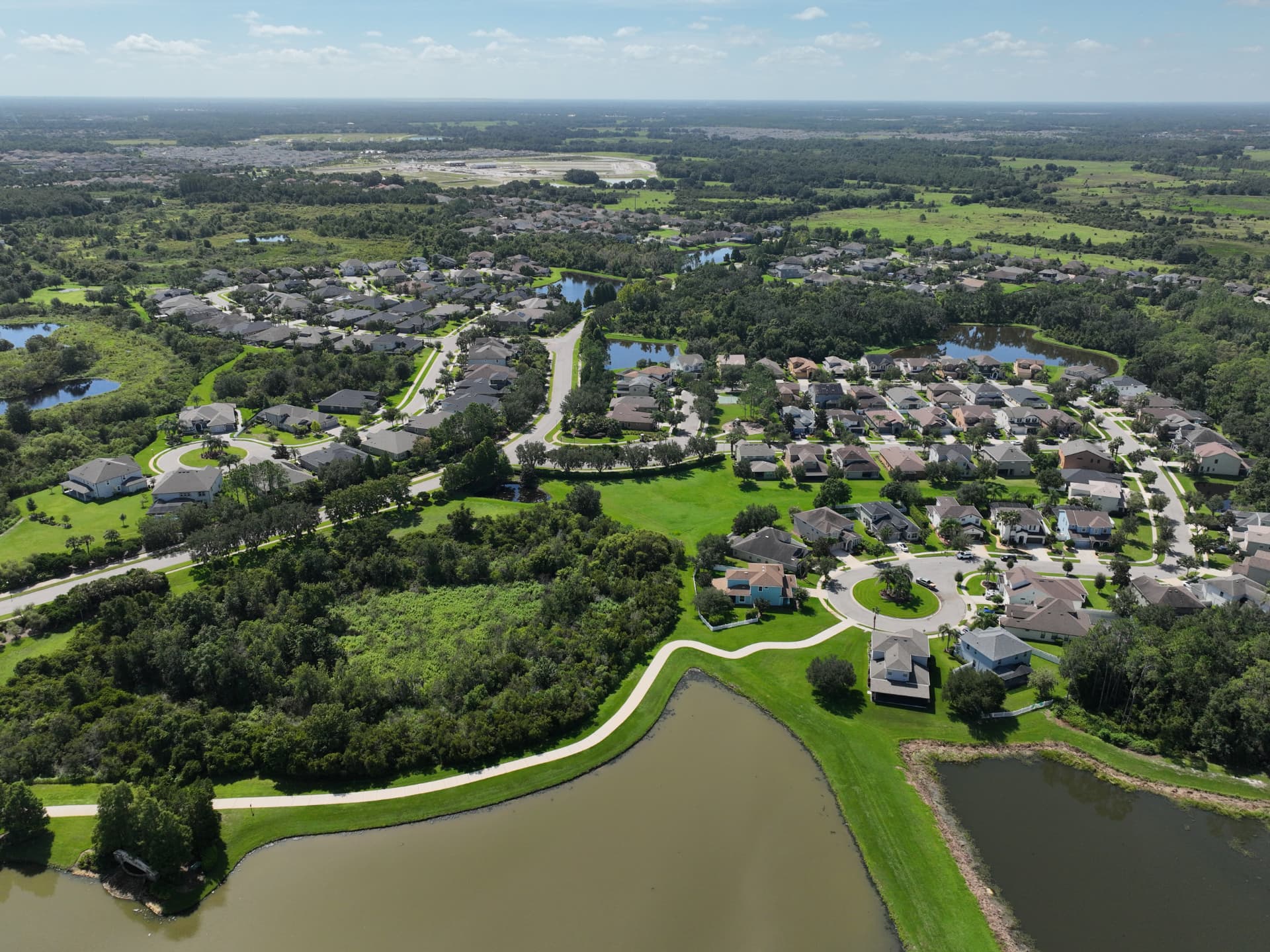 Newer homes near preserved natural landscaping and neighborhood lakes in a Wesley Chapel community