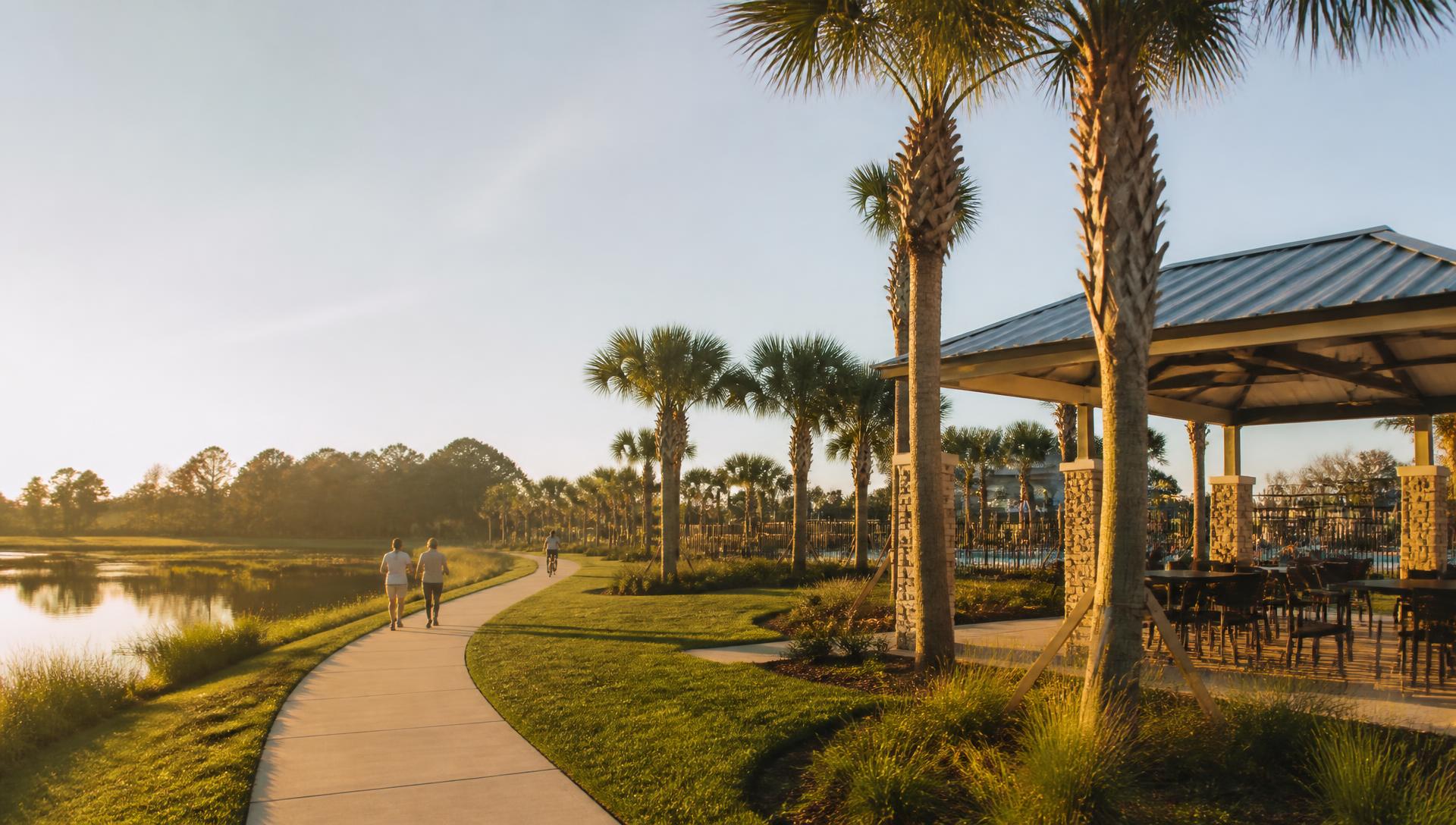 A tree-lined Wesley Chapel neighborhood street in warm afternoon light