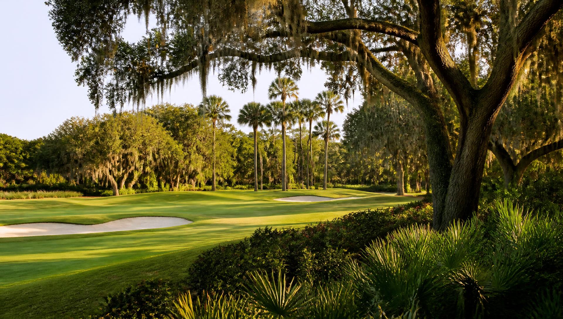 Saddlebrook in Wesley Chapel, Florida