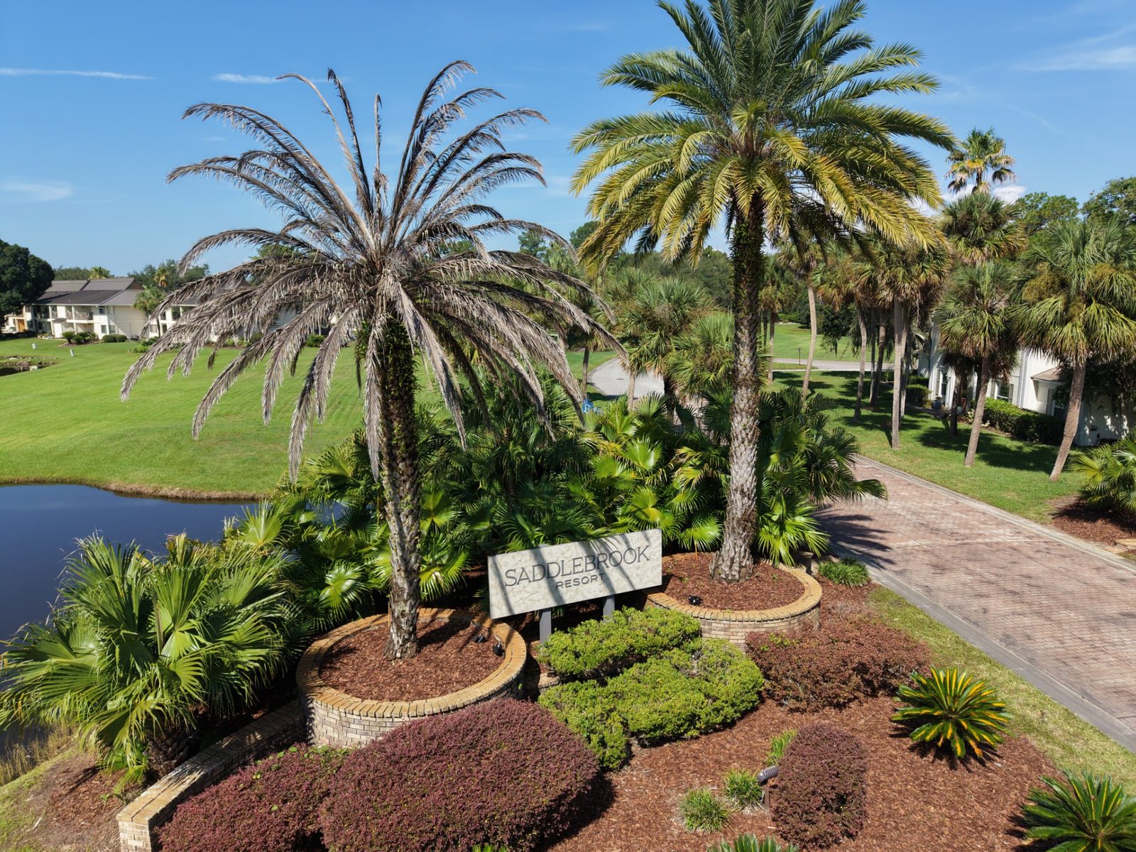 Saddlebrook Resort community entrance and golf course landscape in Wesley Chapel Florida